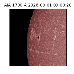 saia - 2026-09-01T09:00:28.720000