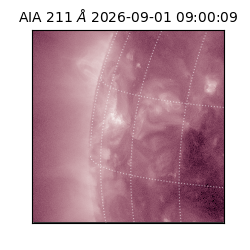 saia - 2026-09-01T09:00:09.620000
