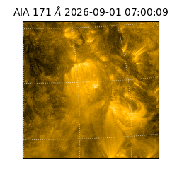 saia - 2026-09-01T07:00:09.350000