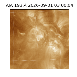 saia - 2026-09-01T03:00:04.840000