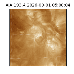 saia - 2026-09-01T05:00:04.840000