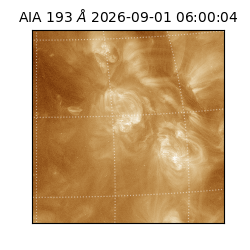 saia - 2026-09-01T06:00:04.840000