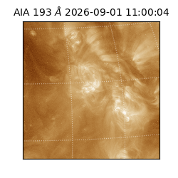 saia - 2026-09-01T11:00:04.840000