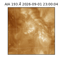 saia - 2026-09-01T23:00:04.840000