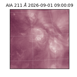 saia - 2026-09-01T09:00:09.620000