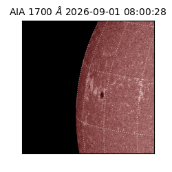 saia - 2026-09-01T08:00:28.720000