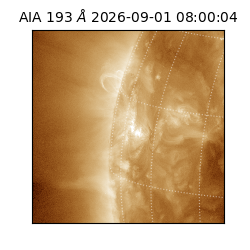 saia - 2026-09-01T08:00:04.840000