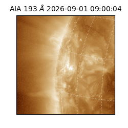 saia - 2026-09-01T09:00:04.840000