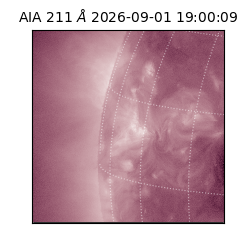 saia - 2026-09-01T19:00:09.620000