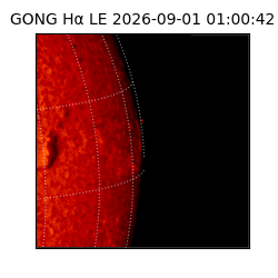 gong - 2026-09-01T01:00:42