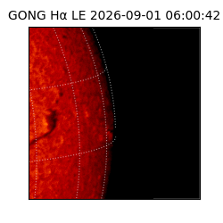 gong - 2026-09-01T06:00:42