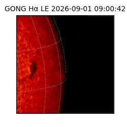 gong - 2026-09-01T09:00:42