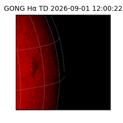 gong - 2026-09-01T12:00:22