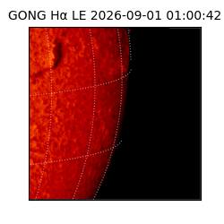 gong - 2026-09-01T01:00:42
