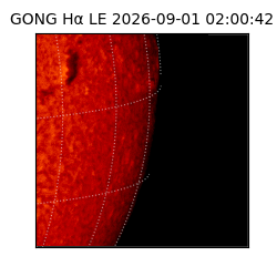gong - 2026-09-01T02:00:42
