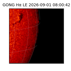 gong - 2026-09-01T08:00:42