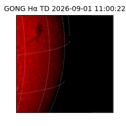 gong - 2026-09-01T11:00:22