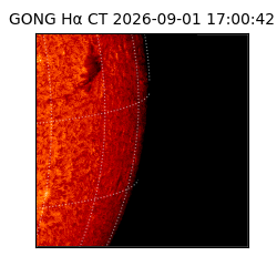 gong - 2026-09-01T17:00:42