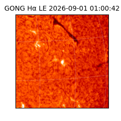 gong - 2026-09-01T01:00:42