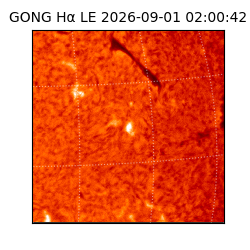 gong - 2026-09-01T02:00:42