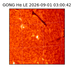 gong - 2026-09-01T03:00:42