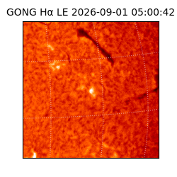 gong - 2026-09-01T05:00:42