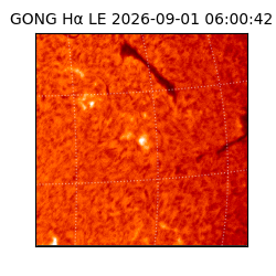 gong - 2026-09-01T06:00:42