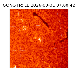 gong - 2026-09-01T07:00:42