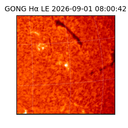 gong - 2026-09-01T08:00:42