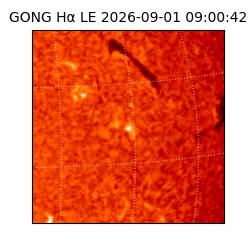 gong - 2026-09-01T09:00:42