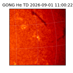 gong - 2026-09-01T11:00:22