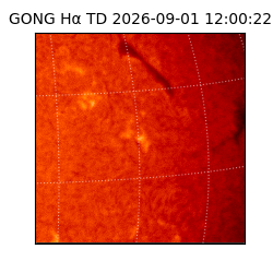 gong - 2026-09-01T12:00:22