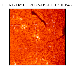 gong - 2026-09-01T13:00:42