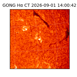 gong - 2026-09-01T14:00:42