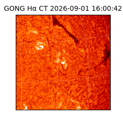 gong - 2026-09-01T16:00:42