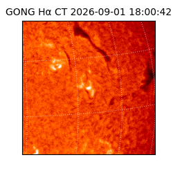 gong - 2026-09-01T18:00:42