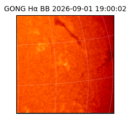 gong - 2026-09-01T19:00:02