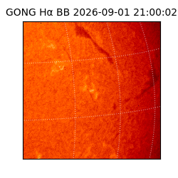 gong - 2026-09-01T21:00:02