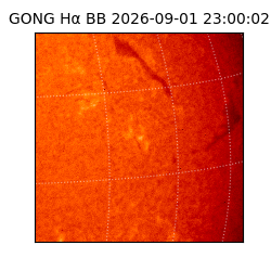 gong - 2026-09-01T23:00:02
