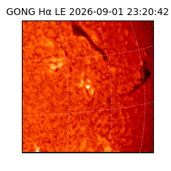 gong - 2026-09-01T23:20:42