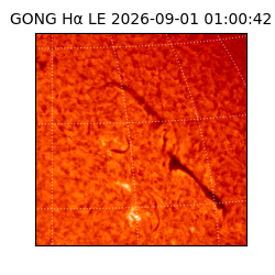 gong - 2026-09-01T01:00:42