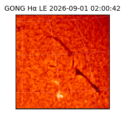 gong - 2026-09-01T02:00:42