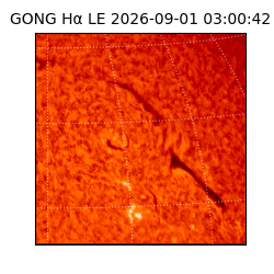 gong - 2026-09-01T03:00:42