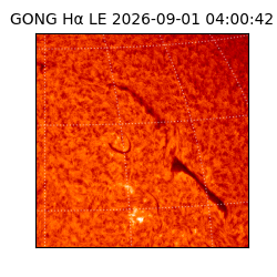 gong - 2026-09-01T04:00:42