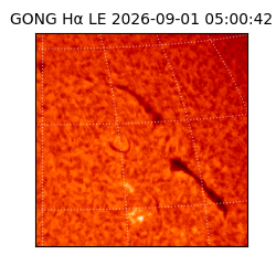 gong - 2026-09-01T05:00:42