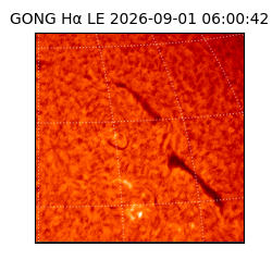 gong - 2026-09-01T06:00:42