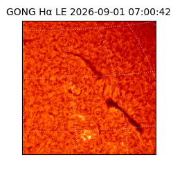 gong - 2026-09-01T07:00:42
