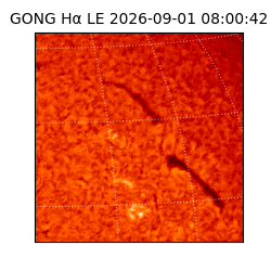gong - 2026-09-01T08:00:42