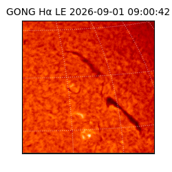 gong - 2026-09-01T09:00:42
