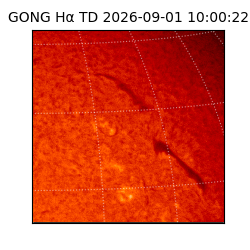 gong - 2026-09-01T10:00:22